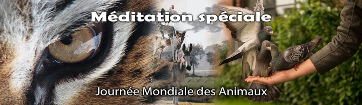 Journée Mondiale des Animaux