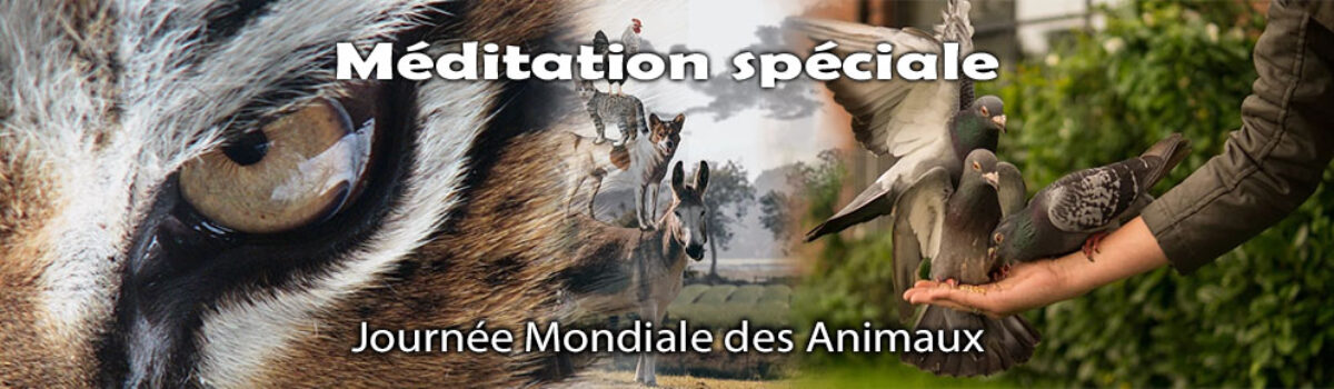 Journée Mondiale des Animaux
